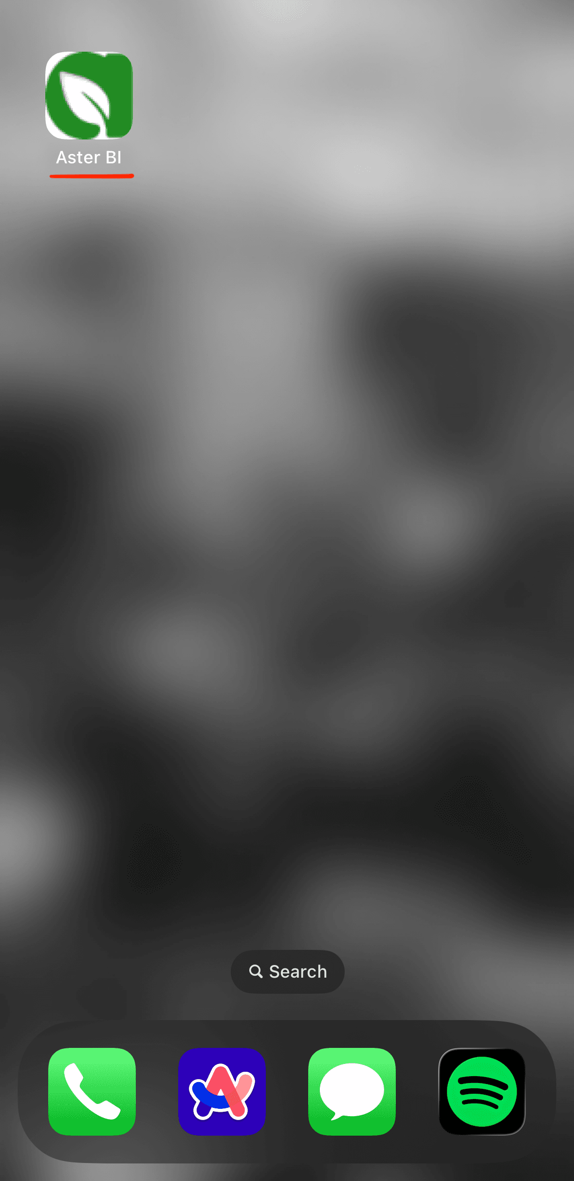 Aster BI icon on an iPhone home screen after installation.